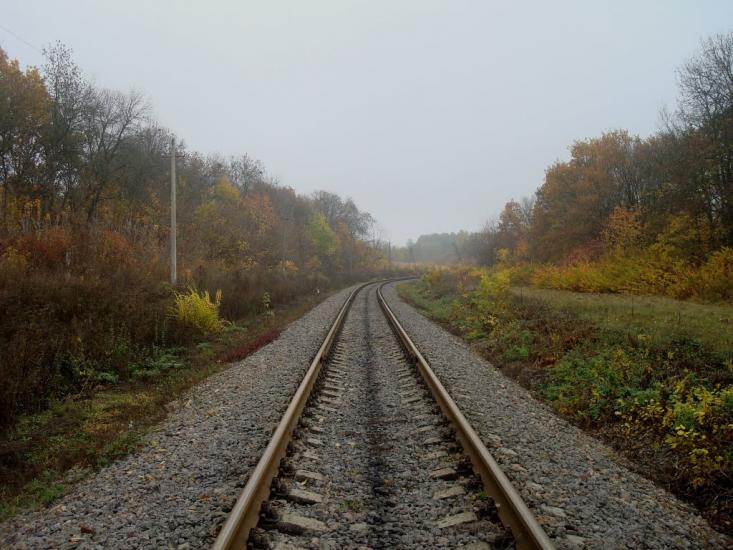 Вільхівці з panoramio.com - Вільхівці
