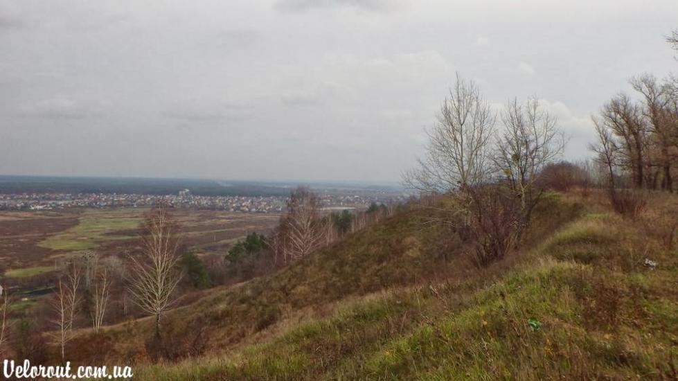 Великі Дмитровичі з panoramio.com - Великі Дмитровичі