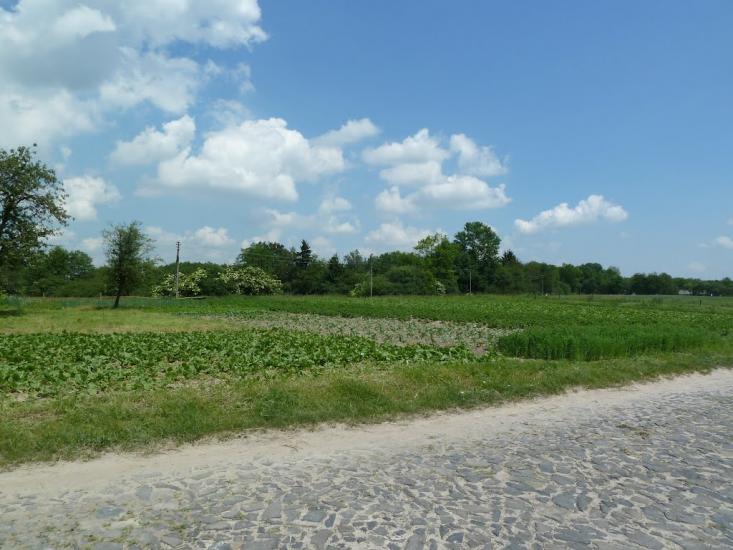 Кураж з panoramio.com - Кураж