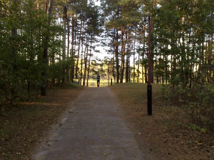 Чапаєвка з panoramio.com - Чапаевка