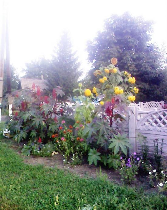 Фащівка з panoramio.com - Фащівка