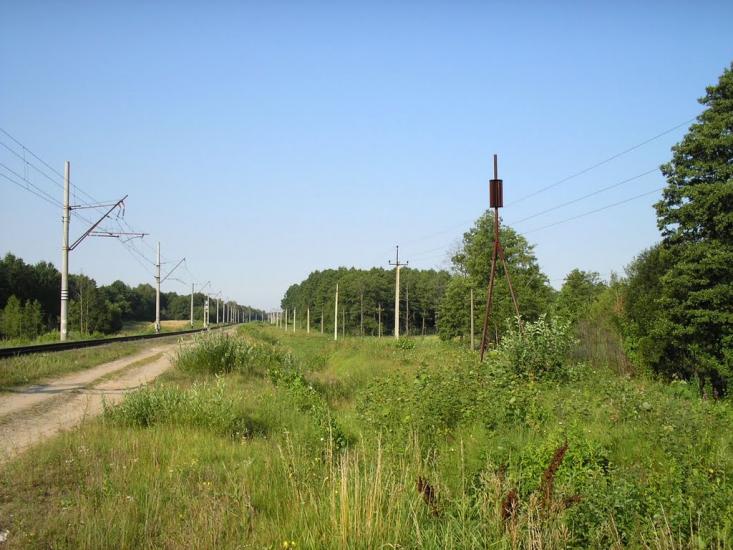 Рихальське з panoramio.com - Рыхальское