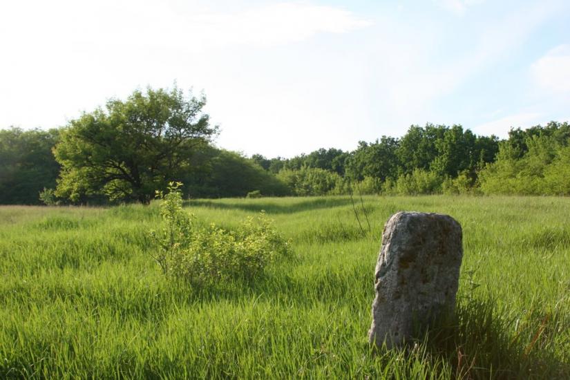 Трощин з panoramio.com - Troschyn