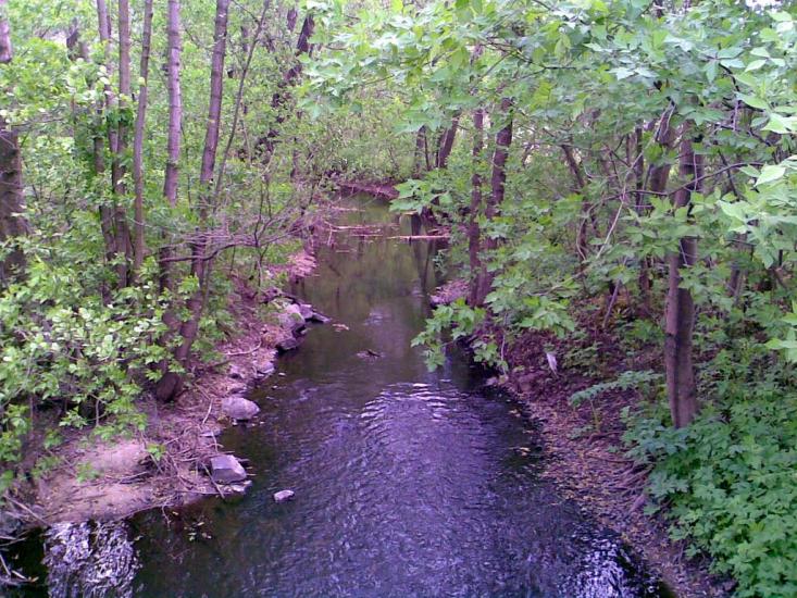 Бірки з panoramio.com - Бирки