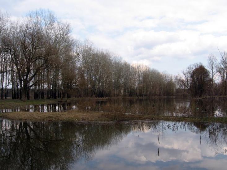 Вельбівка з panoramio.com - Вельбовка