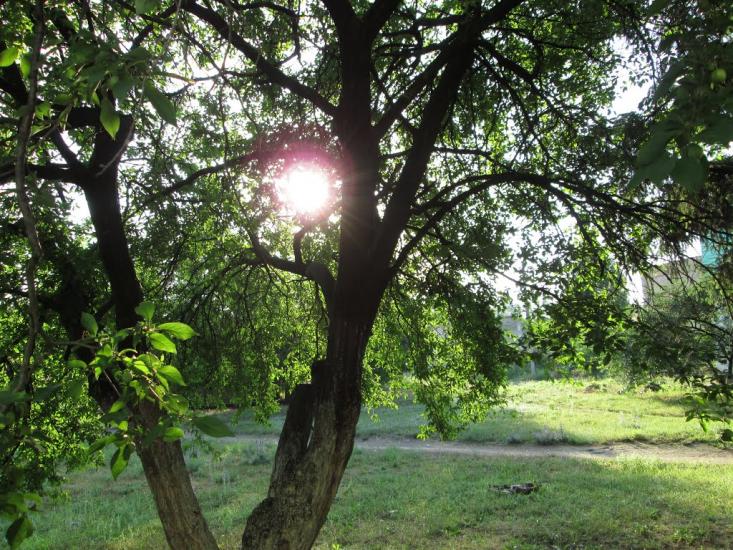 Вознесенськ з panoramio.com - Вознесенськ