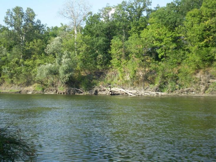Станично-Луганське з panoramio.com (ч.2) - Станично-Луганское
