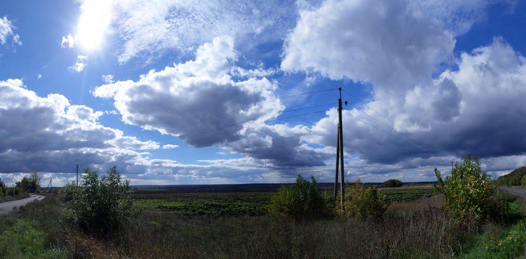 Миколаївка Перша з panoramio.com - Николаевка Первая