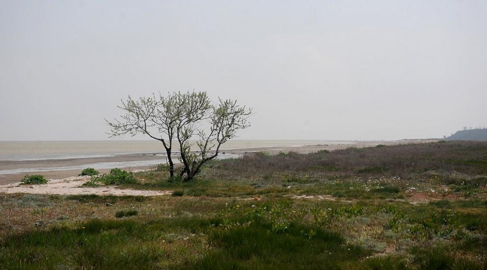 Охрімівка з panoramio.com - Охримовка