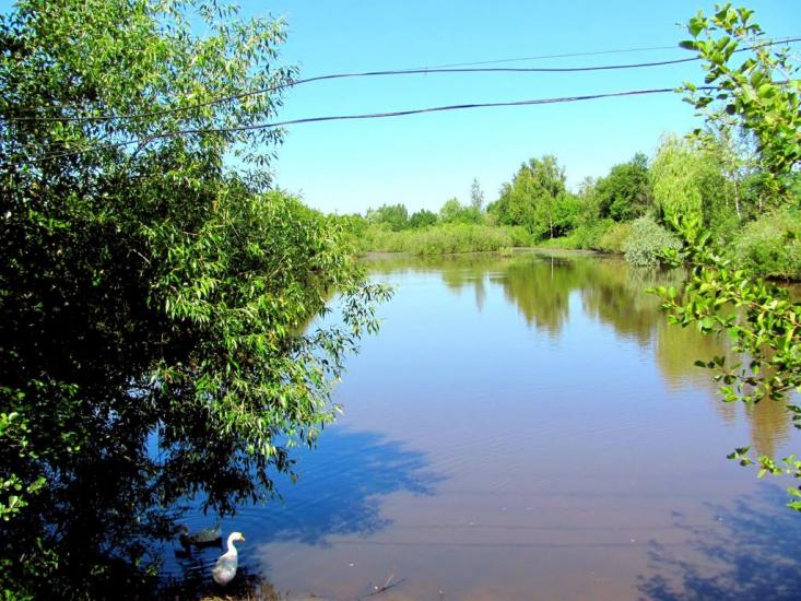 Чаква з panoramio.com - Чаква