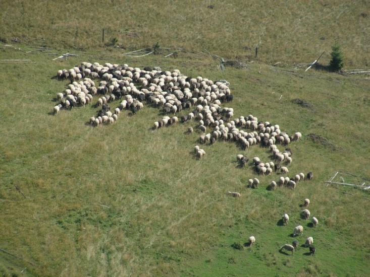 Рипень з panoramio.com - Рипень