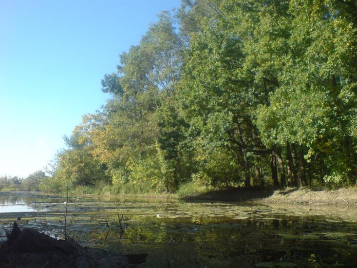 Вінкове з panoramio.com - Вінкове