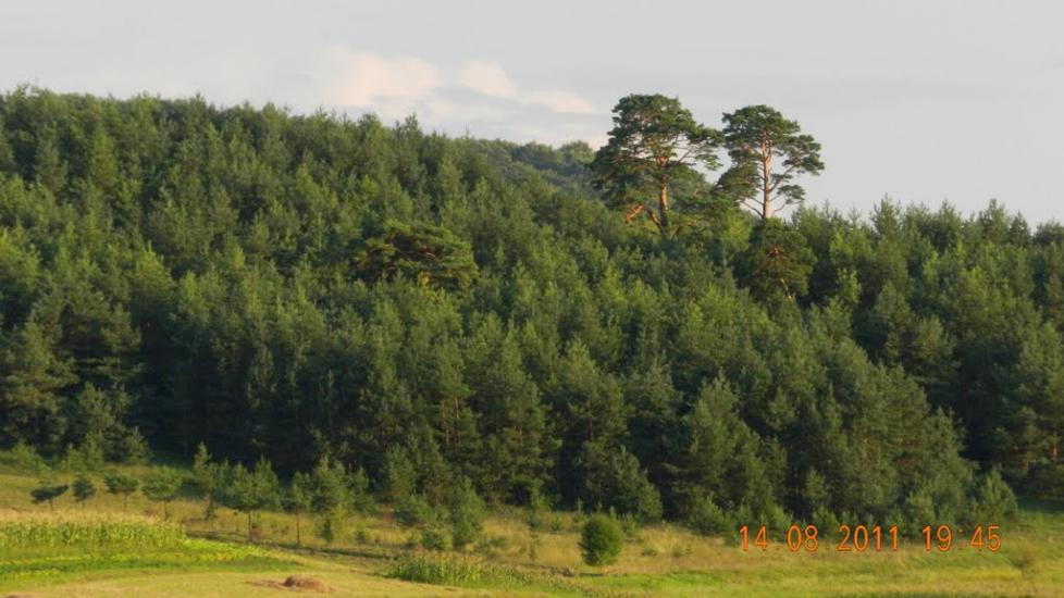 Добринів з panoramio.com - Добринев