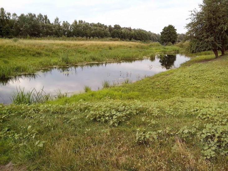 Устивиця з panoramio.com - Устивиця