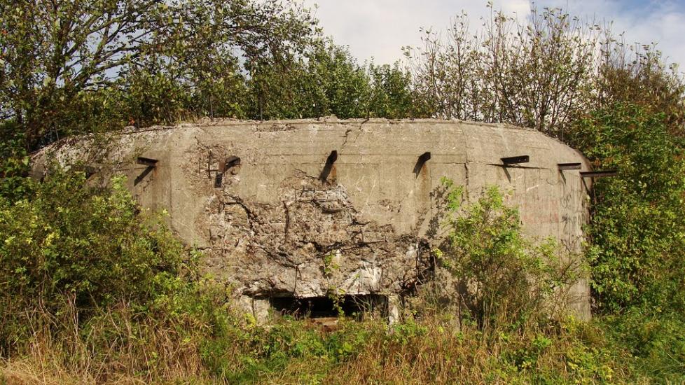 Зелена Гута з panoramio.com - Zelena Guta