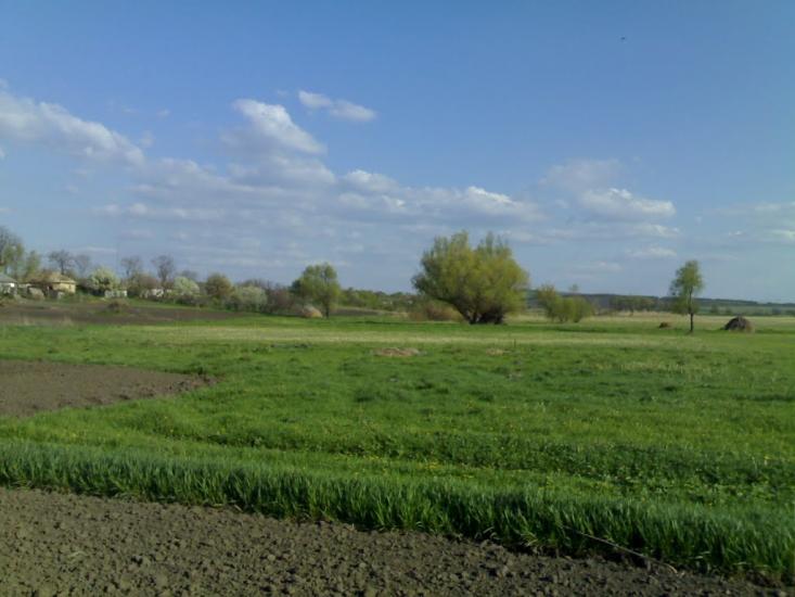 Млинок з panoramio.com - Mlynok