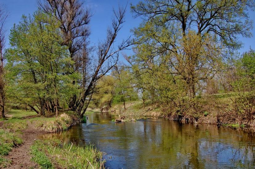 Кремінна з panoramio.com - Кремінна