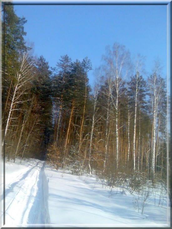 Кушкине з panoramio.com - Кушкино