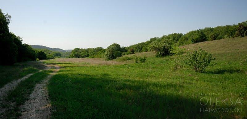 Верхньосадове з panoramio.com - Верхньосадове