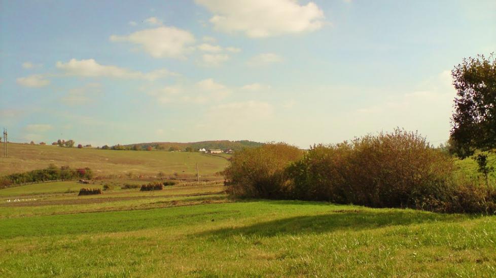 Рогачин з panoramio.com - Рогачин