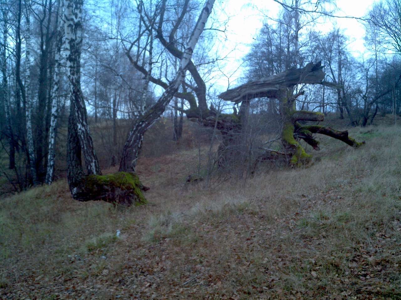 Городище - Городец