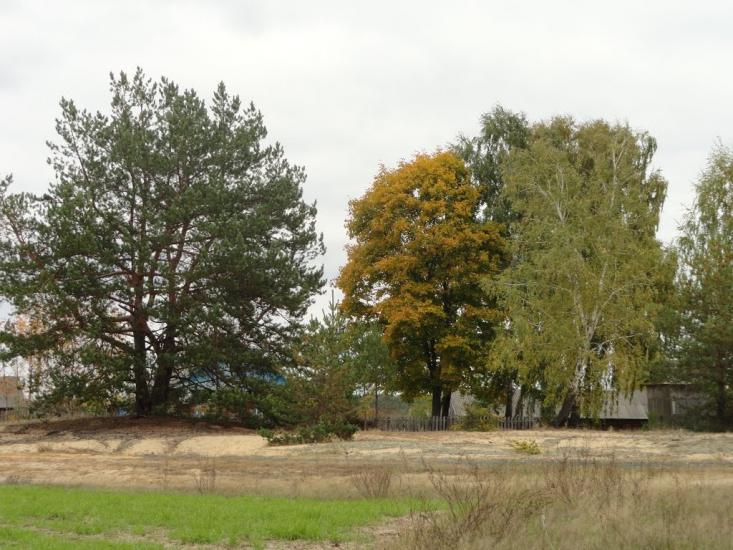 Градиськ з panoramio.com - Градиськ