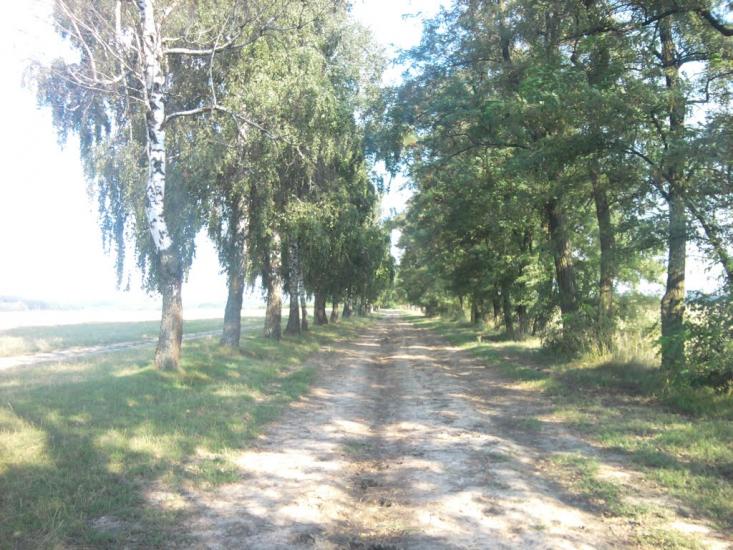 Слобода-Гулівська з panoramio.com - Sloboda-Gulivska