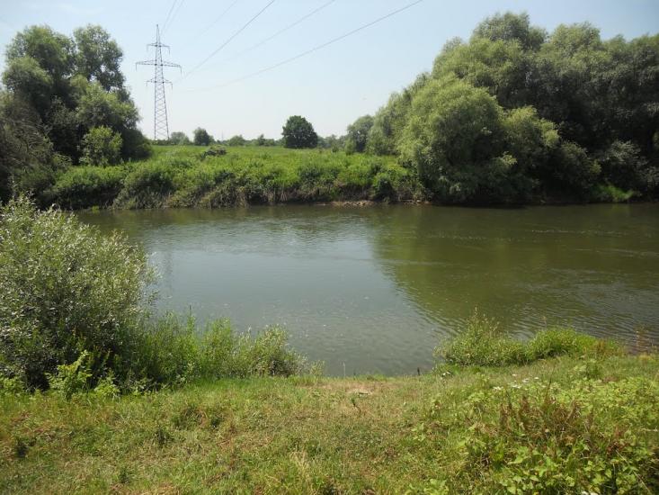 Станківці з panoramio.com - Станківці