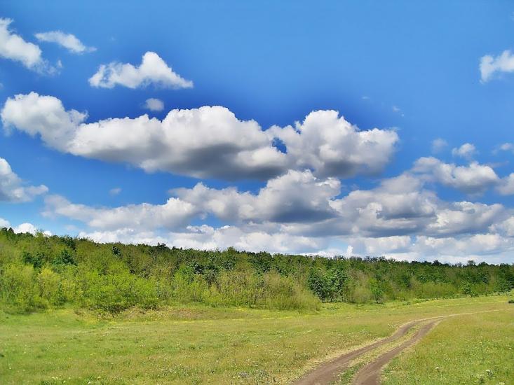 Казаринське з panoramio.com - Казаринське