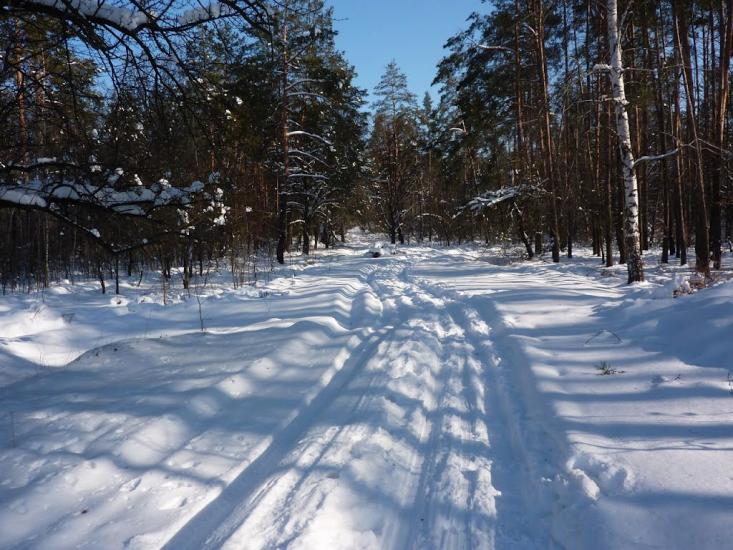 Романків з panoramio.com - Романков