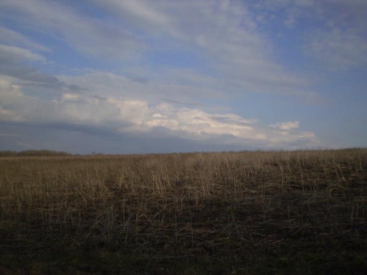 Кринична з panoramio.com - Кринична