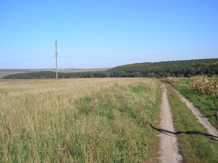 Стуфчинці з panoramio.com - Стуфчинці