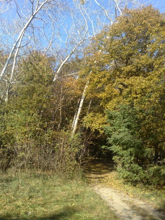 Шпитьки з panoramio.com - Шпитьки