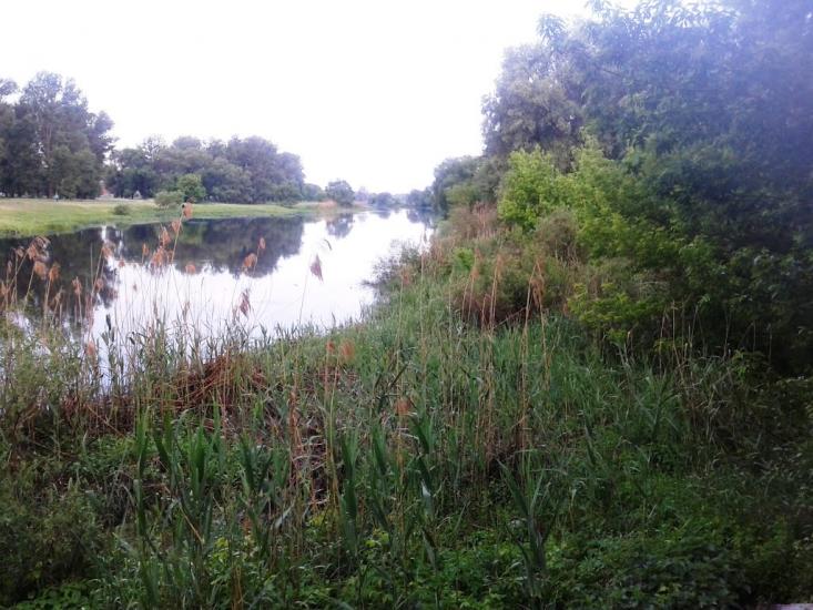Введенка з panoramio.com - Введенка