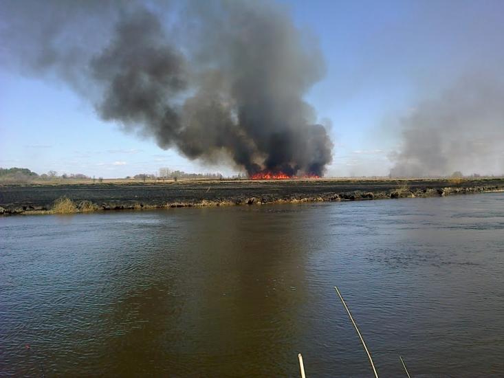 Старий Мохнач з panoramio.com - Старий Мохнач