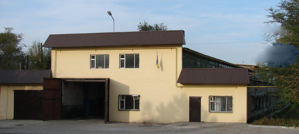 Лозуватка з panoramio.com - Лозоватка
