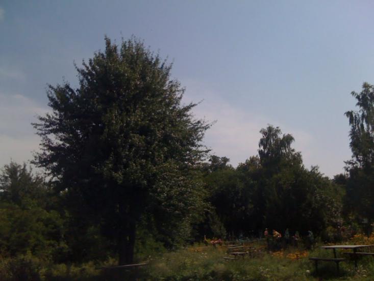 Велика Бугаївка з panoramio.com - Великая Бугаевка