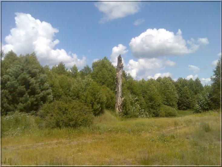 Кушкине з panoramio.com - Кушкино