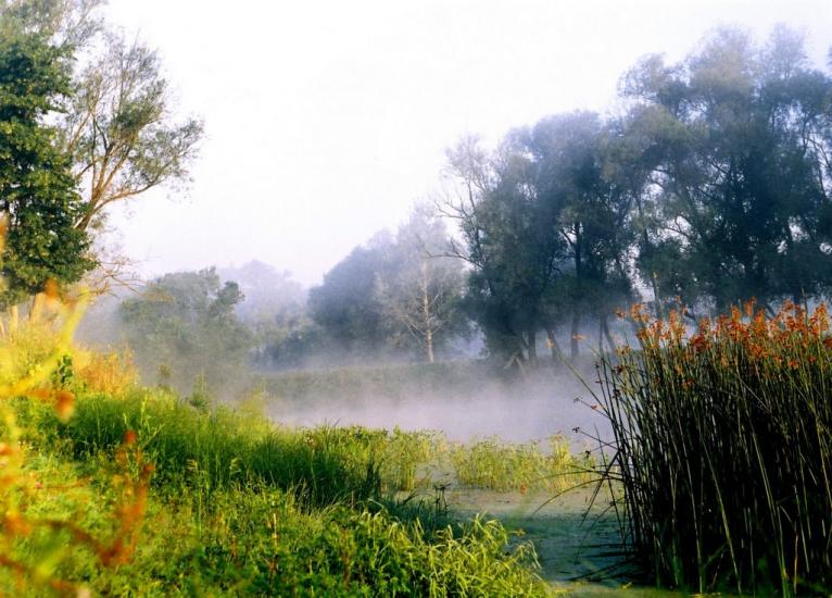 Вельбівка з panoramio.com - Вельбовка