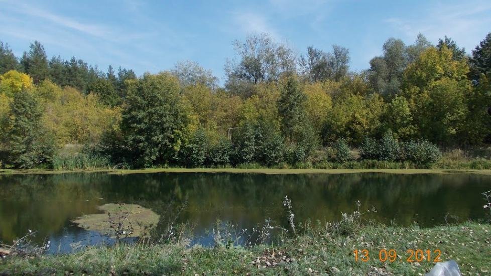 Межиріч з panoramio.com - Межирич