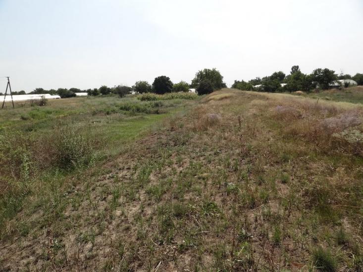 Кам'янка-Дніпровська з panoramio.com - Каменка-Днепровская