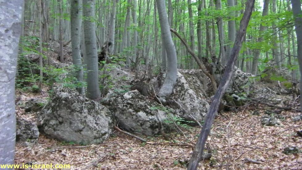 Многоріччя з panoramio.com - Многоречье