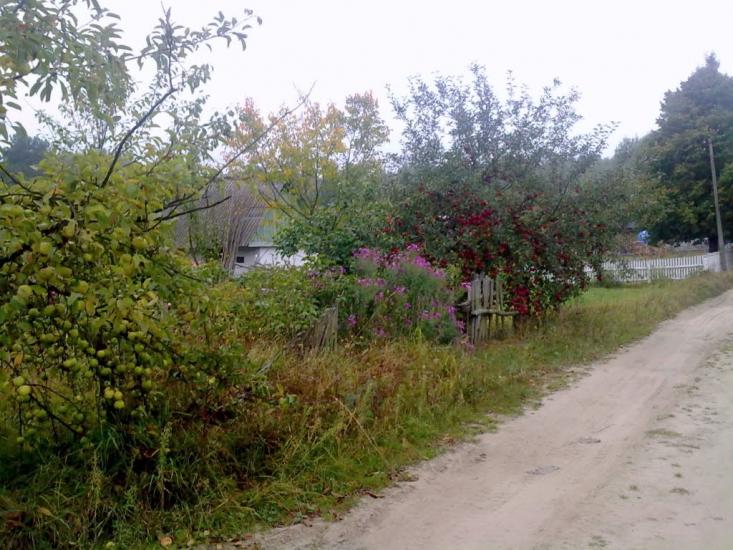 Рихальське з panoramio.com - Рыхальское