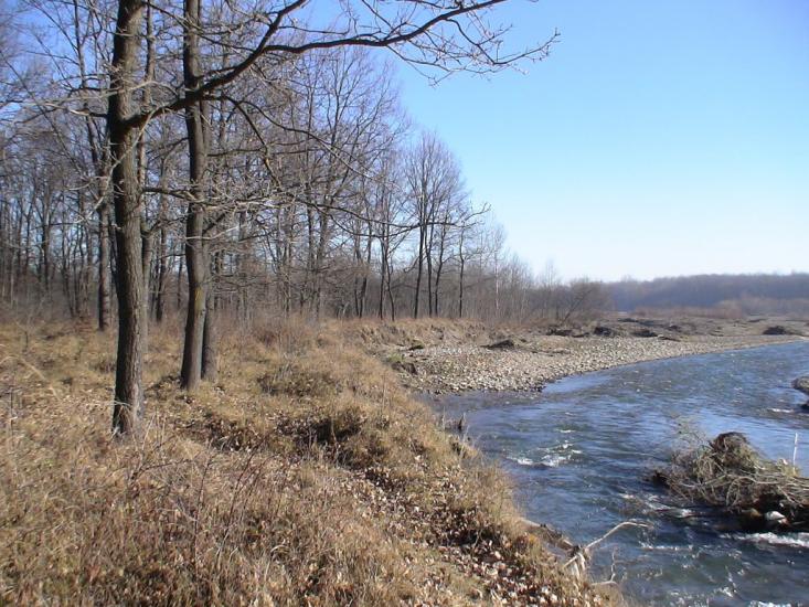 Корчівці з panoramio.com - Korchivtsi