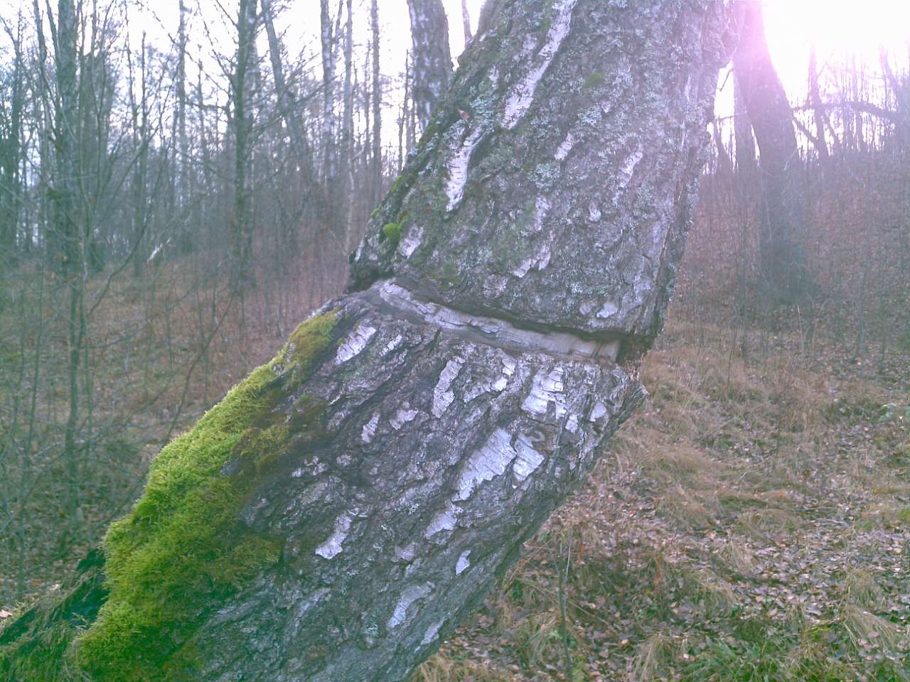 Городище - Городец