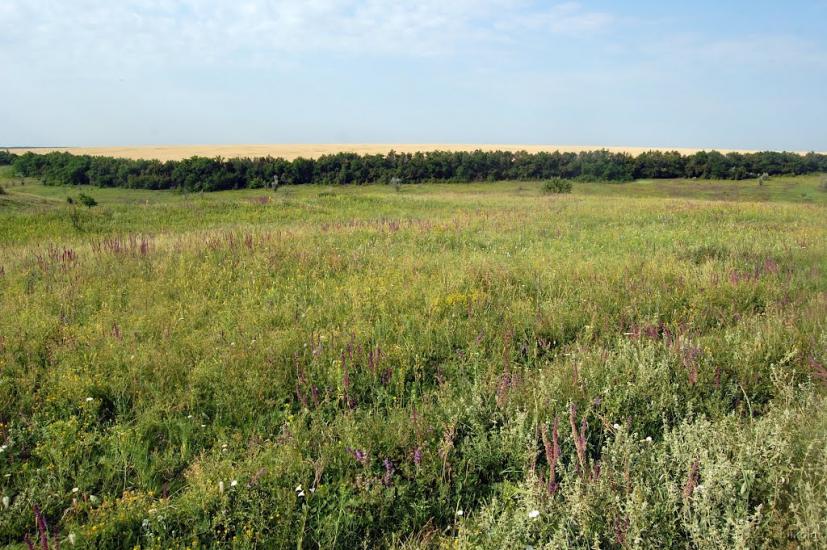 Пристине з panoramio.com - Пристине