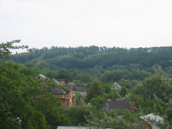 Великі Дмитровичі з panoramio.com - Великі Дмитровичі
