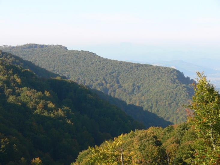 Бедевля з panoramio.com - Бедевля