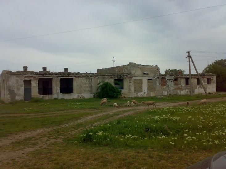 Яснополянське з panoramio.com - Яснополянське