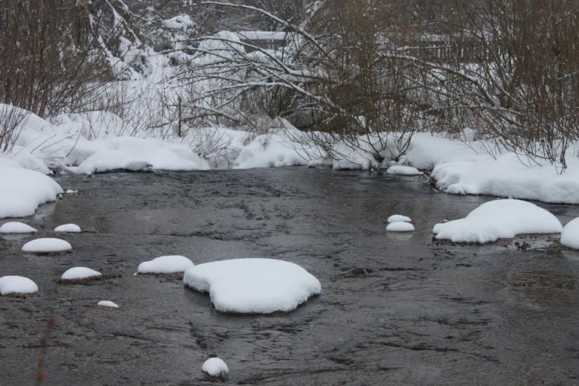 Вороніж з panoramio.com - Воронеж